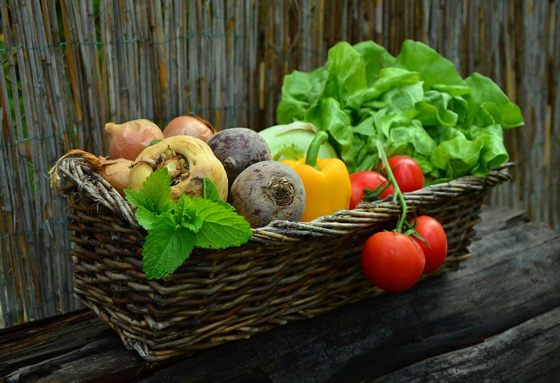 Agriculture planning in highland area