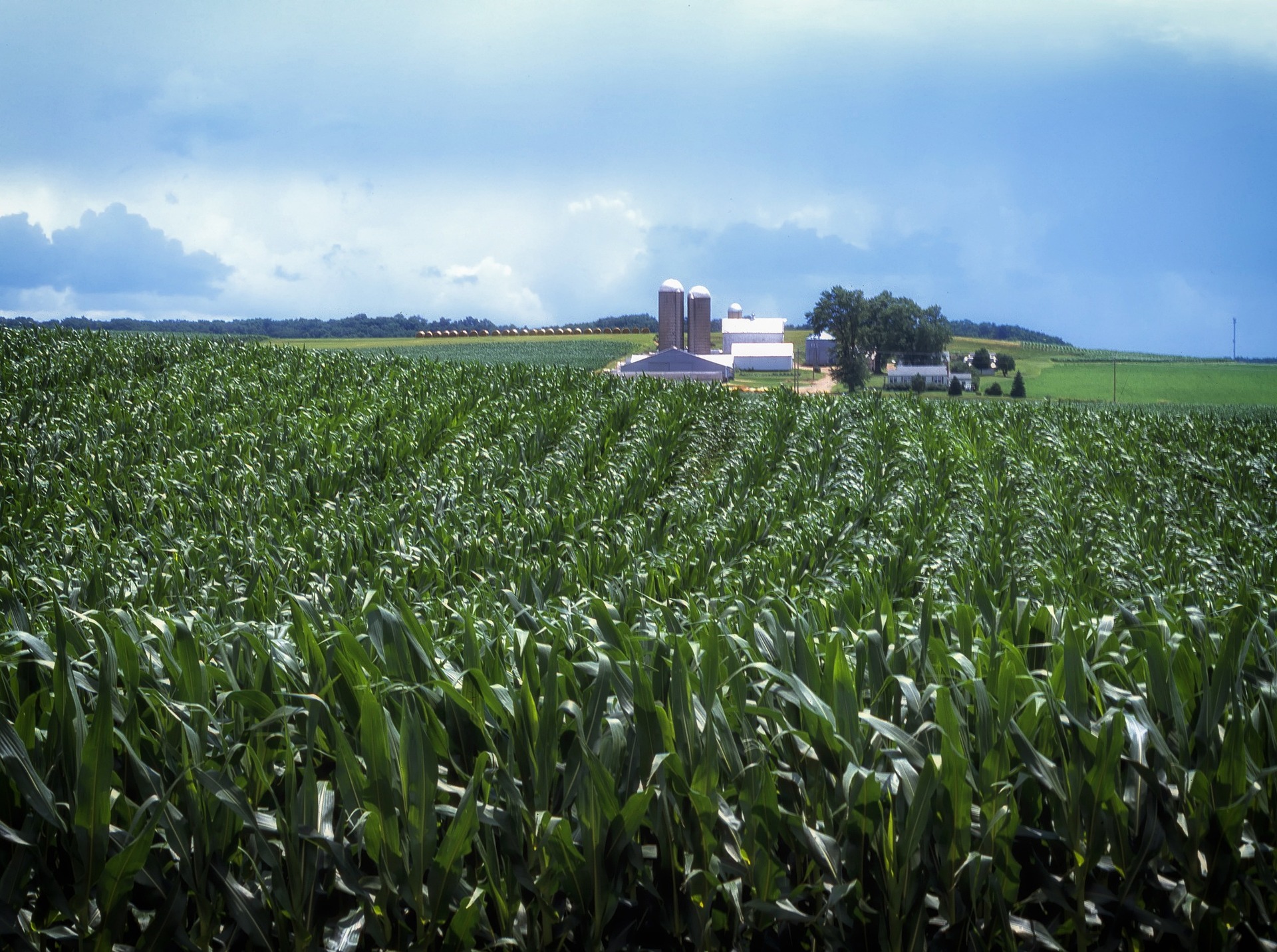 Highland agriculture landscape