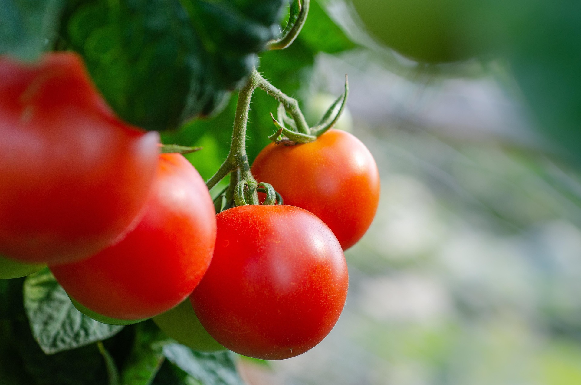 Farm resources